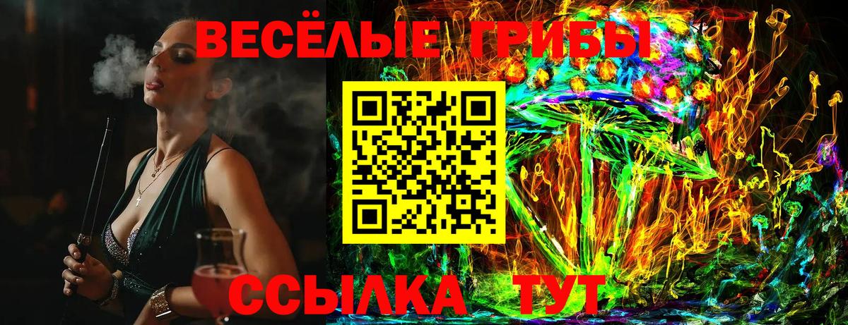 как найти   Вход с VPN  Тавда  Псилоцибиновые грибы Cubensis 